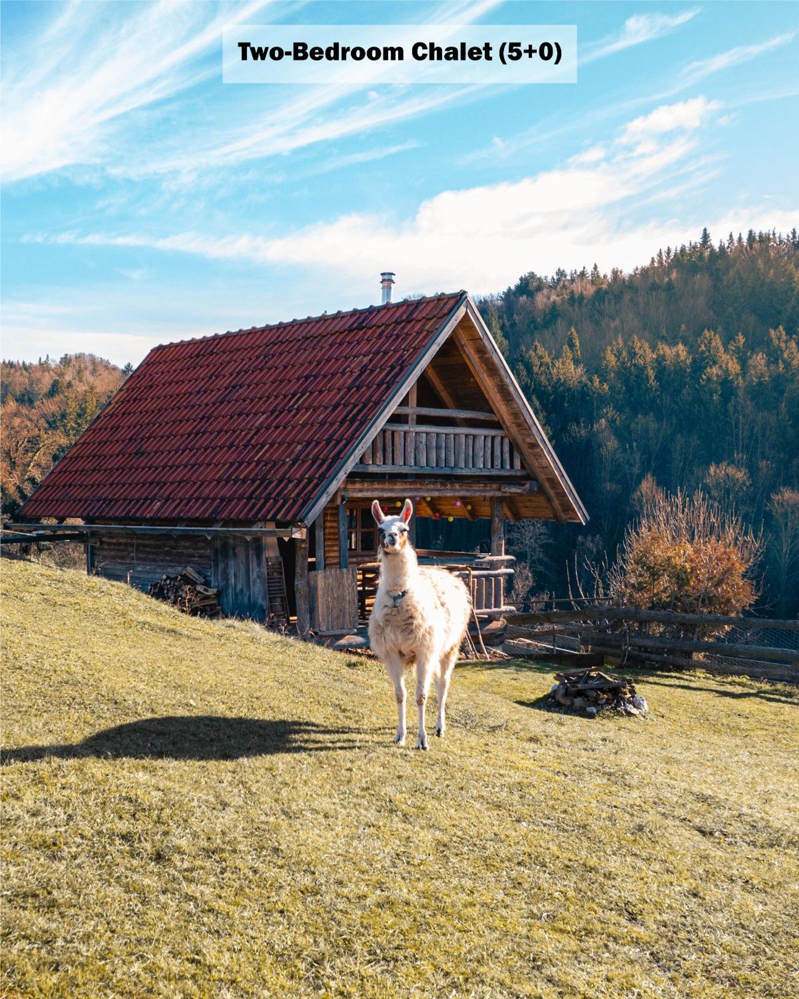 Ranch At Geta Vendégház Razgorce Szoba fotó